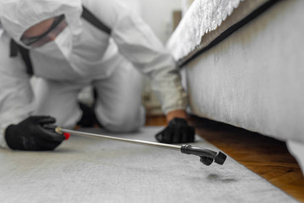 Professional Pest Control technician working in Lake Brownwood, TX