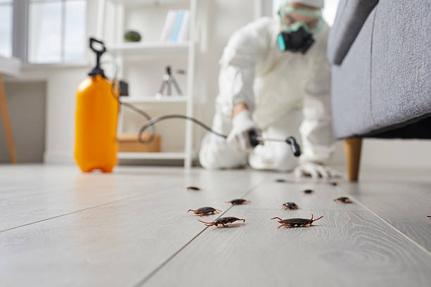 Trusted Cockroach Control service in Lake Brownwood, TX - Nex Pest Control