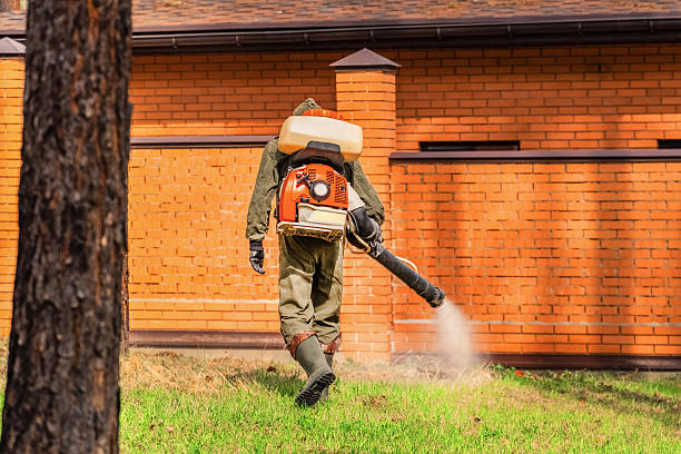 Trusted Termite Control service in Lake Brownwood, TX - Nex Pest Control